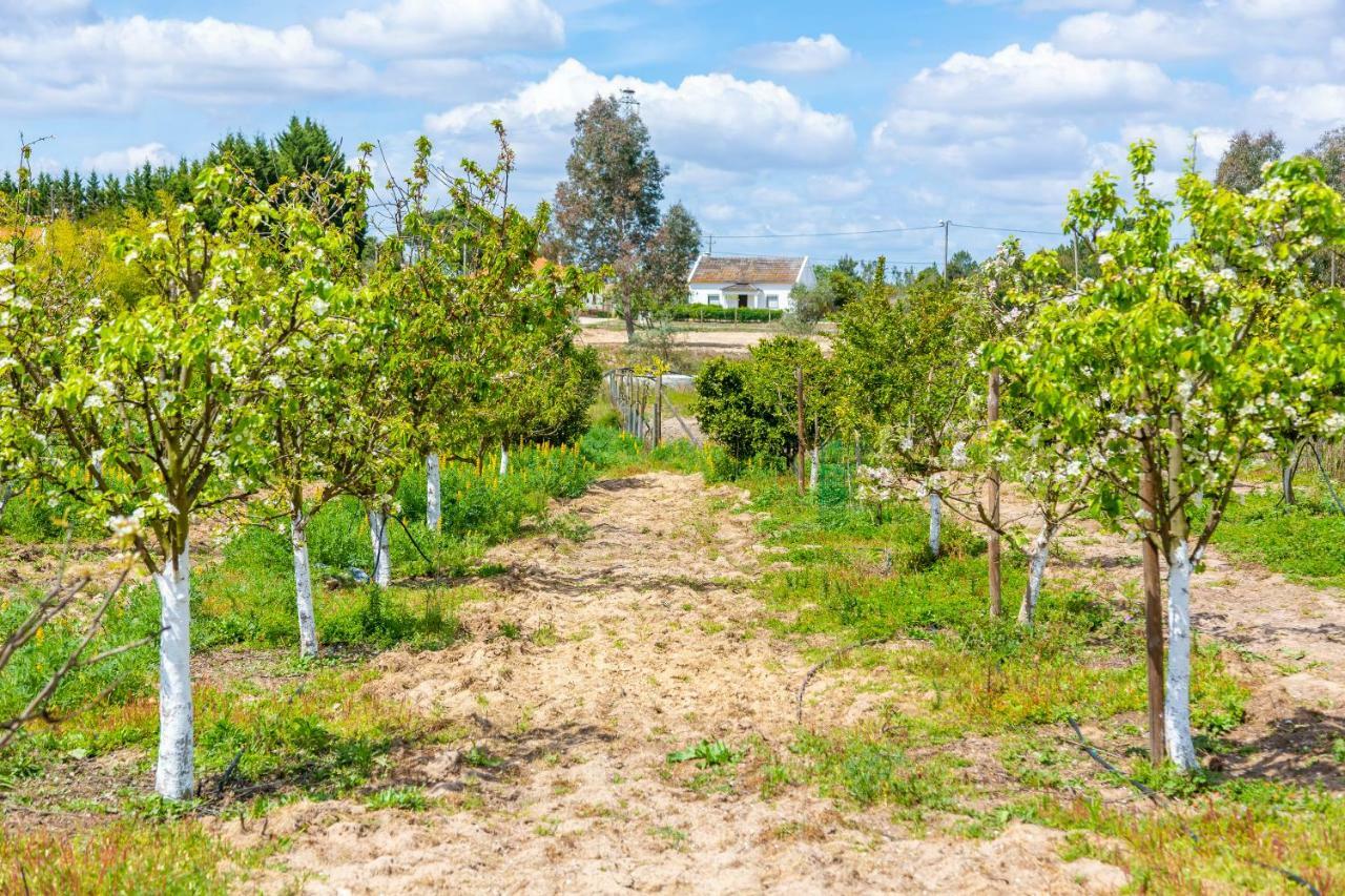 Chitaka'S Organic Farmhouse In Ribatejo Santo Estevao  Εξωτερικό φωτογραφία